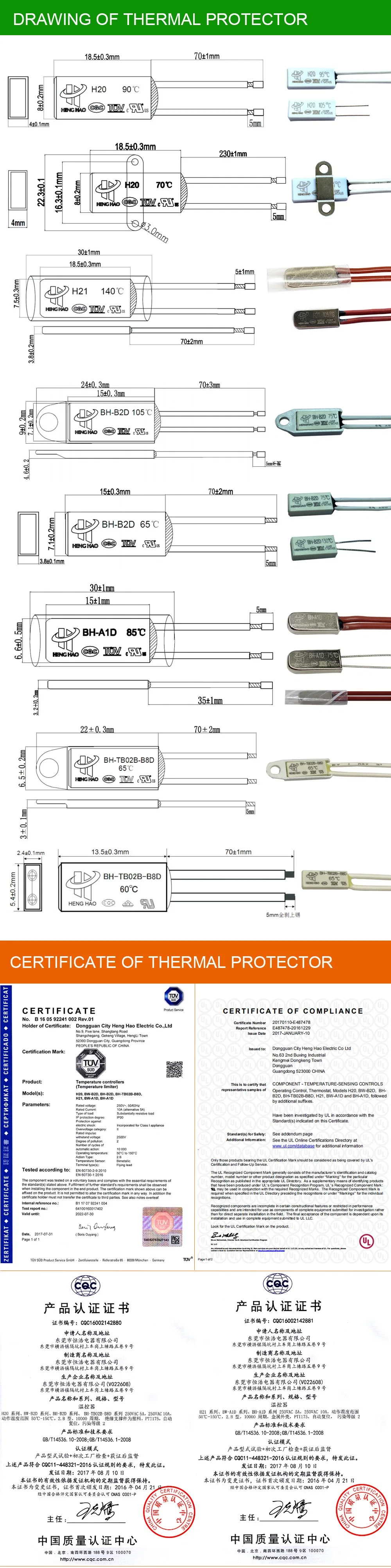 Bw-B2d Bimetal Snap-Action Thermostat UL CQC TUV RoHS 250V 5A 10A 16A Ksd9700 Motor Thermal Protector
